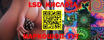 крисы Ливны