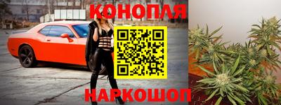 крисы Ливны