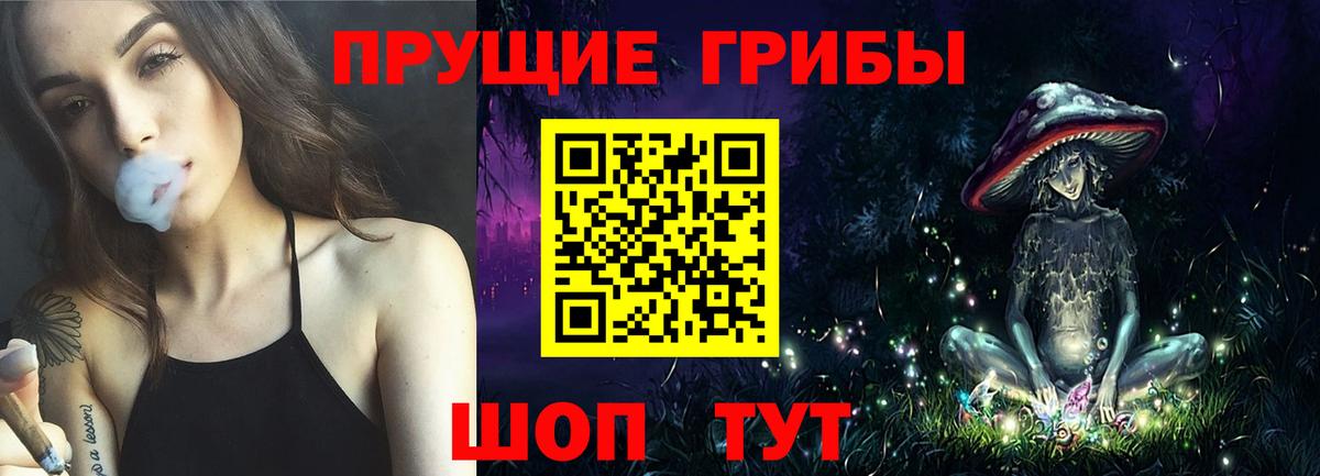 Каменск-Шахтинский  Галлюциногенные грибы Cubensis  Галлюциногенные грибы MAGIC MUSHROOMS  Вход с VPN 